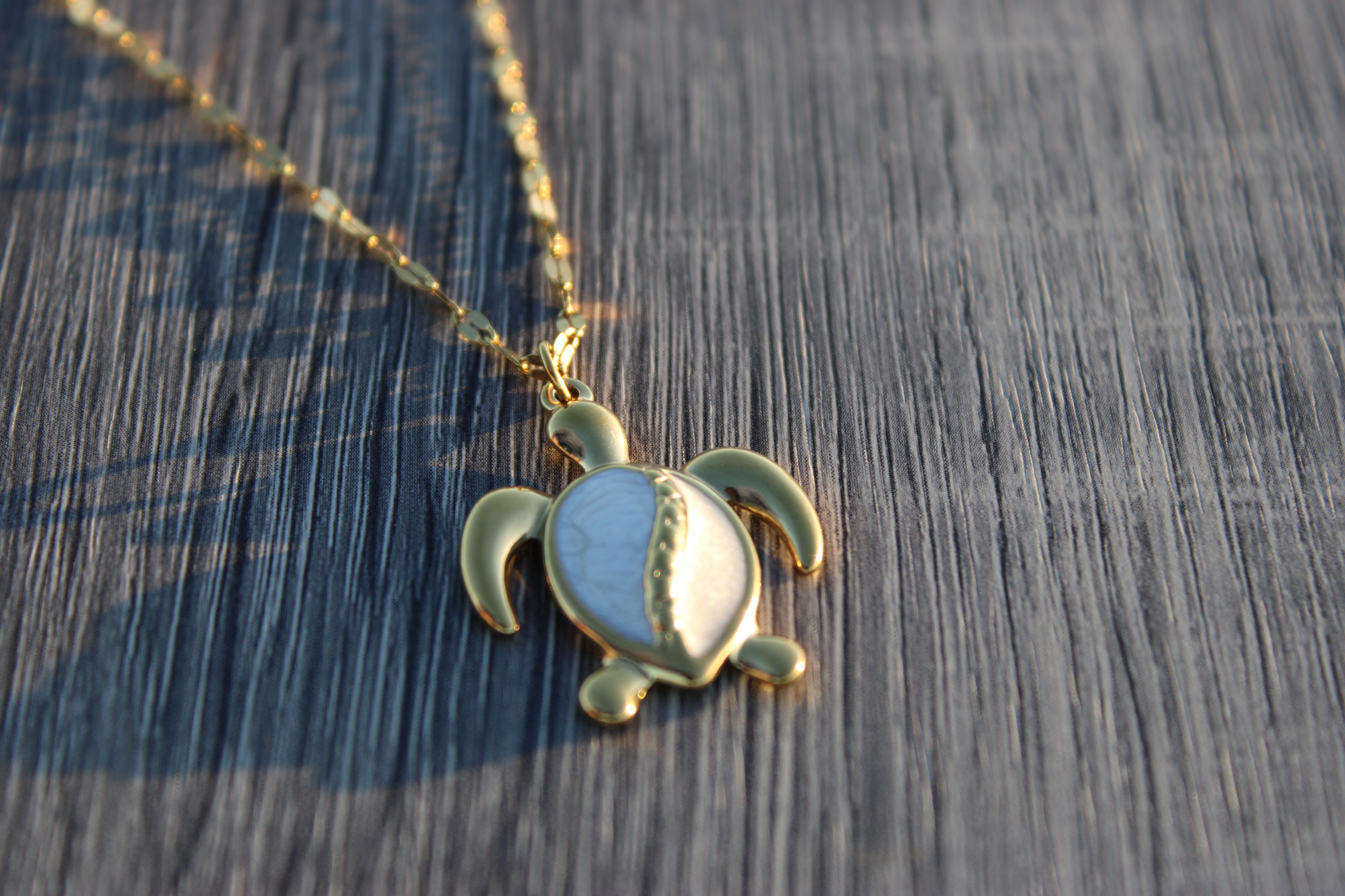 Sunlight Turtle